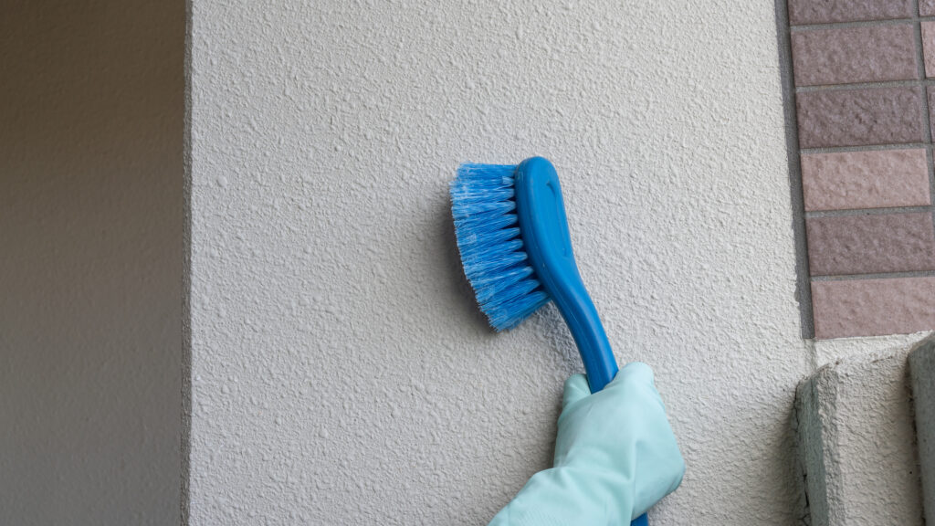 【自分で】外壁のカビ・コケを落とす方法