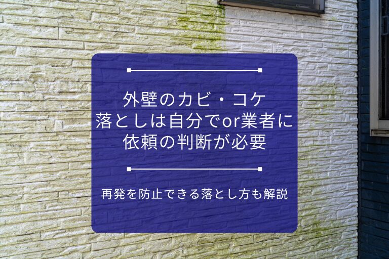 アイキャッチ画像_外壁のカビ・コケ落としは自分でor業者に依頼の判断が必要｜再発を防止できる落とし方も解説